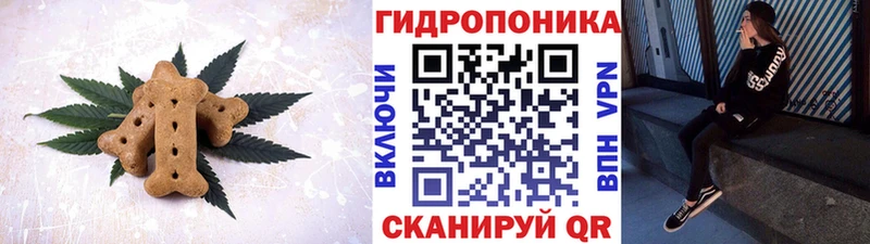 OMG   Каменка  Cannafood конопля 