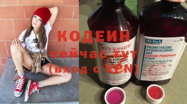прущие грибы Абинск