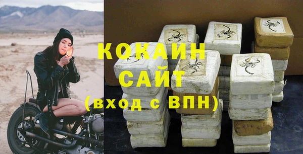 прущие грибы Абинск
