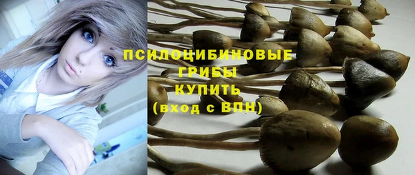 хмурый Снежинск
