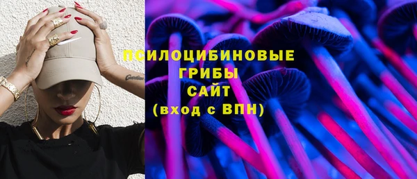 прущие грибы Абинск