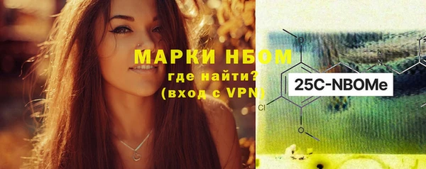прущие грибы Абинск