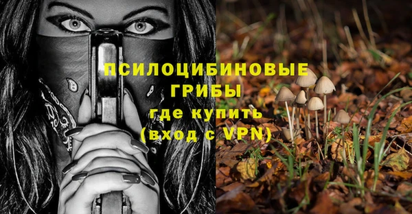 прущие грибы Абинск