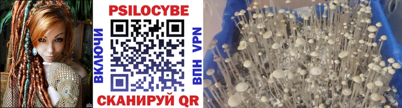 Псилоцибиновые грибы Psilocybine cubensis  гидра рабочий сайт  Каменка 