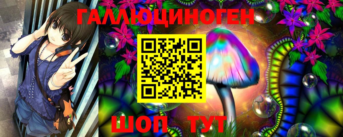 Каменка  Псилоцибиновые грибы MAGIC MUSHROOMS  Галлюциногенные грибы ЛСД  Вход с VPN 